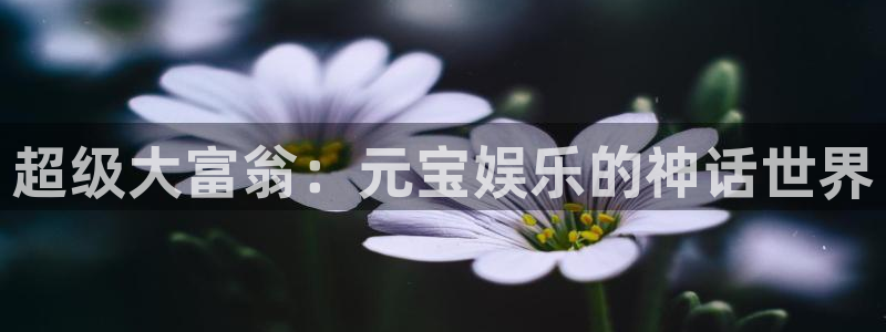 太阳成集团tyc9728
